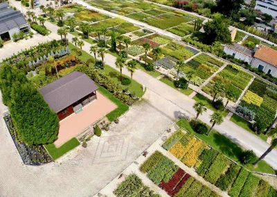 vivai aperti 2021 oasi vivai piante drone