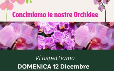 Corso Gratuito sulla Concimazione delle Orchidee