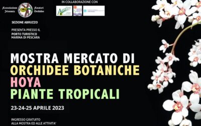 MOSTRA MERCATO DI ORCHIDEE BOTANICHE, HOYA, PIANTE TROPICALI